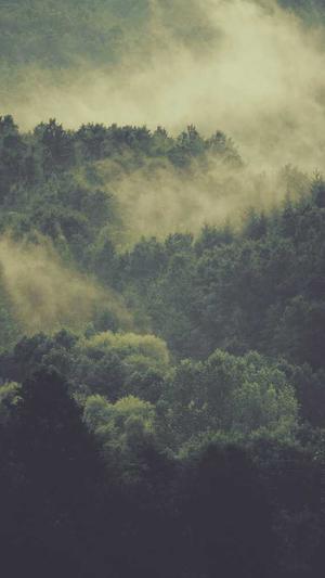 建设建设网站的截图3