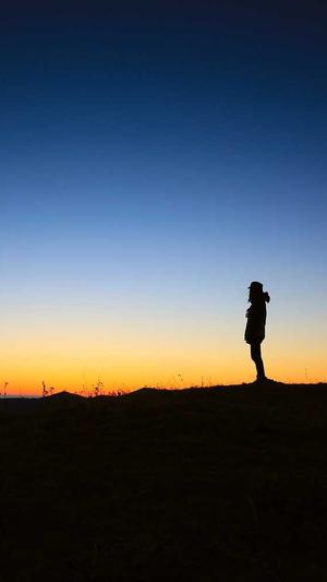 物流网站建设截图4