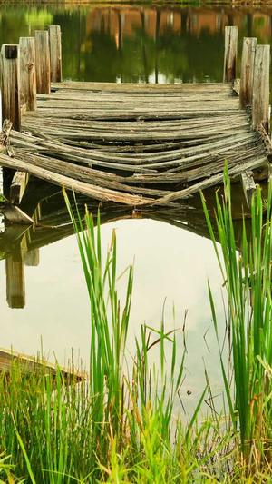 磐石网站建设截图4