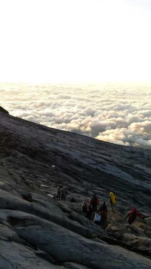 seo流量查询工具截图3