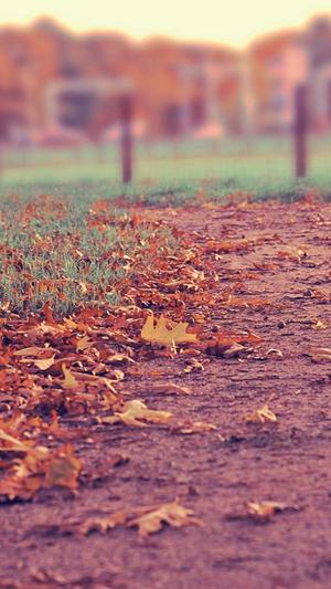 seo泛目录使用教程截图3