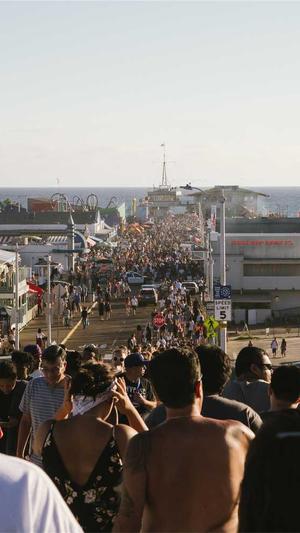 蜘蛛池辅助工具截图1