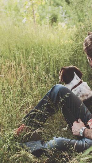 安康市网站建设截图3