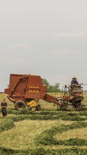 网站建设费用截图4