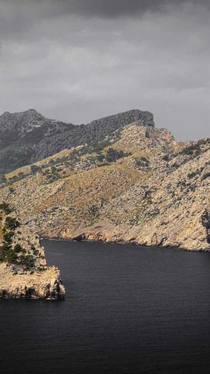 蜘蛛池工具全向zjkwlgs截图2