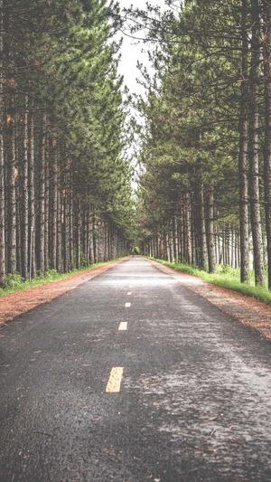 百度seo关键词截图1