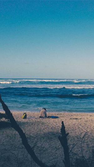 seo三大工具截图1