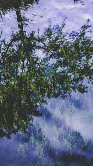 北京市网站建设公司截图3