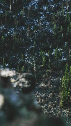 聚合泛目录v5站群作用截图4