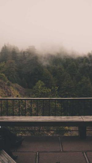 英文seo工具截图2