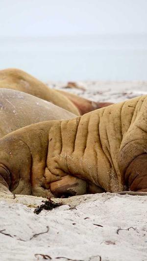 营销型网站建设截图2