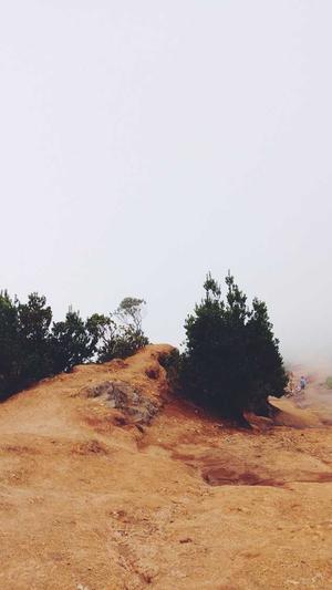 南通seo优化截图1