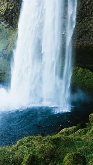 站长工具seo权重怎么看截图3