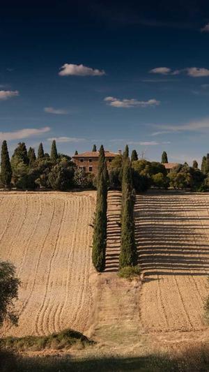 十大seo工具截图4