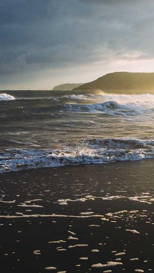 seo优化视频截图4