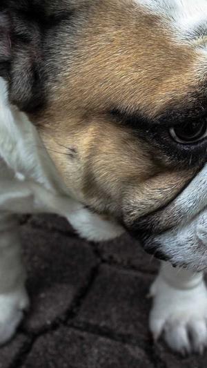 蜘蛛池推广平台有哪些截图2