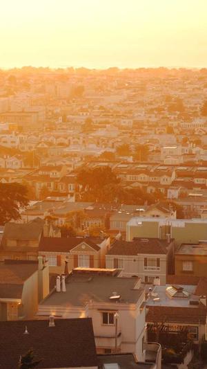 免费蜘蛛池使用截图1