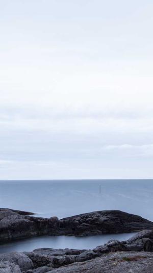 寄生虫泛目录截图1