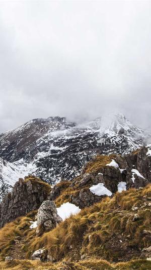 seo泛目录排行榜截图1