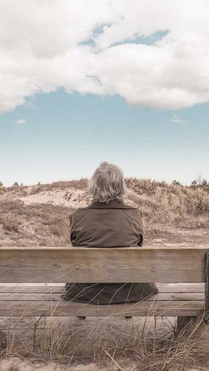 百合seo培训截图2