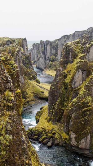 逐鹿泛目录截图4