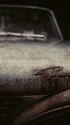 泛站群和泛目录哪个好截图4