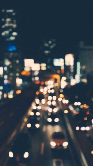 蜘蛛池建造流程详细截图2