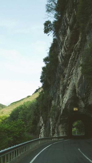 抖音seo关键词指数工具截图3