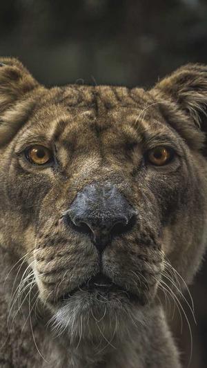 移动网站建设截图1