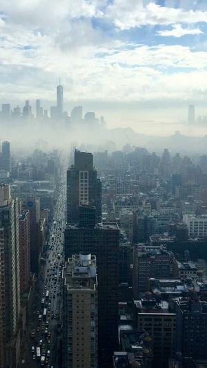 seo批量查询工具截图1