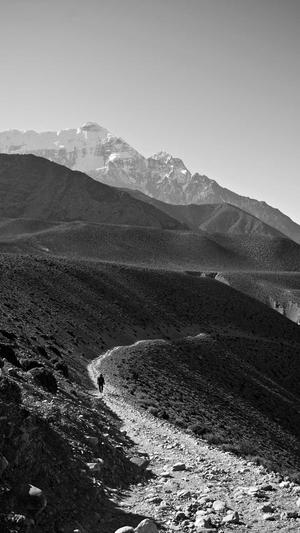 蜘蛛池图片大全大图截图5