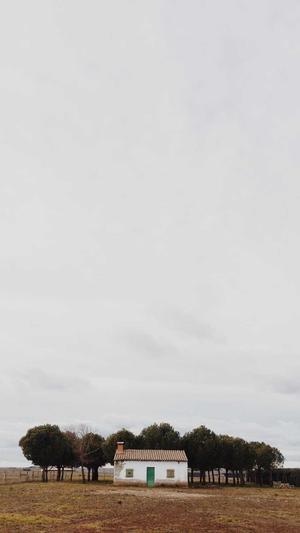 衡阳seo优化截图3