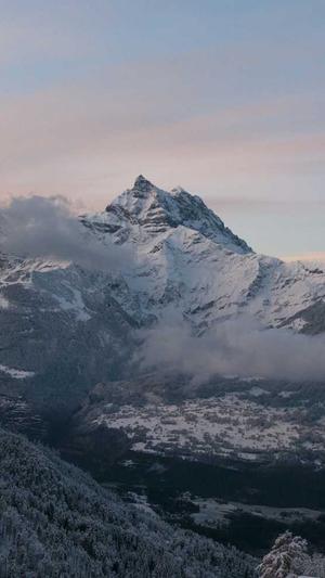 小旋风蜘蛛池百度截图4