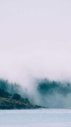 小旋风蜘蛛池x9破解版截图3