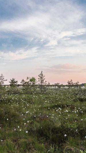 网站建设公司介绍截图3