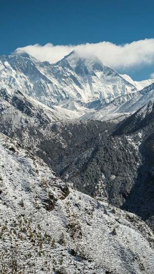 重庆整站seo优化截图3