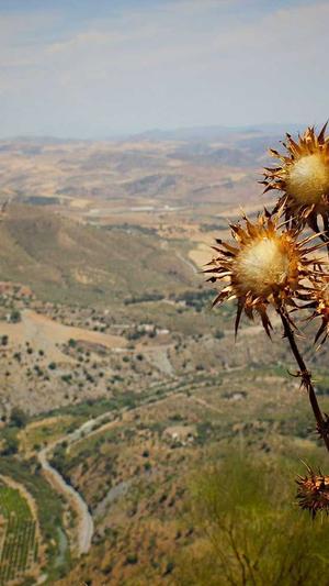 贵州蜘蛛池出租包月截图4