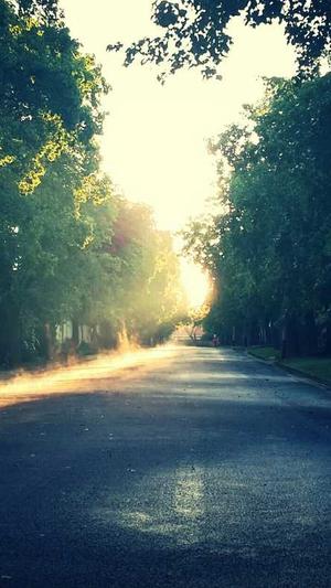 网站SEO优化截图2