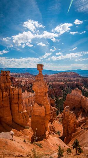 安阳seo网络推广工具截图1