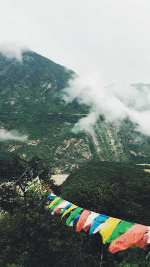 行业网站建设截图3