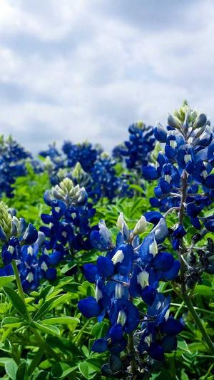 seo发帖工具快照截图4