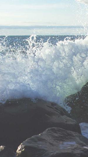 泛目录怎么操作截图4