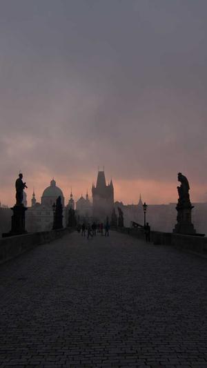 黑帽子蜘蛛池截图4