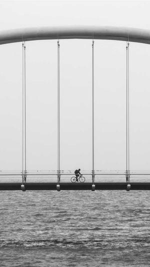 佛山网站建设佛山网络推广截图1