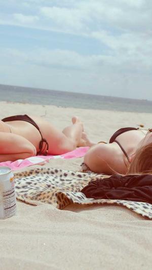 泛目录破解版程序截图1