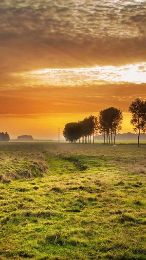 商务卫士与蜘蛛池截图3