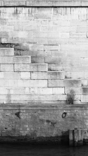 最新蜘蛛池破解版截图3