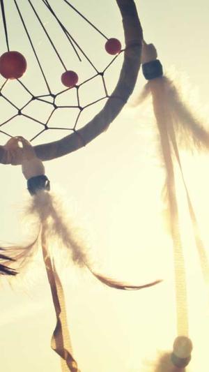 商业网站建设案例课程截图3