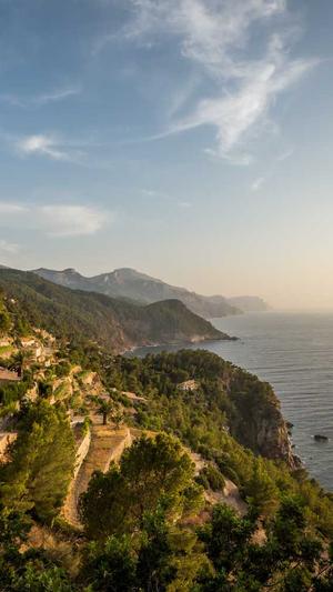 蜘蛛池图片大全大图截图4