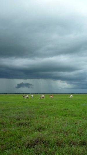 深圳网站设计建设截图2